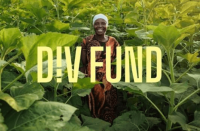 DIV Fund 2026 Opens Applications
