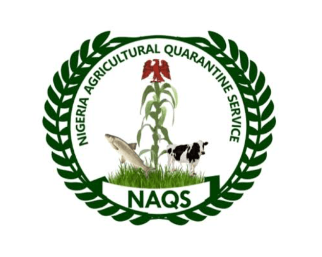 NAQS Recruitment Shortlist Is Out